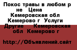 Покос травы в любом р-не › Цена ­ 200 - Кемеровская обл., Кемерово г. Услуги » Другие   . Кемеровская обл.,Кемерово г.
